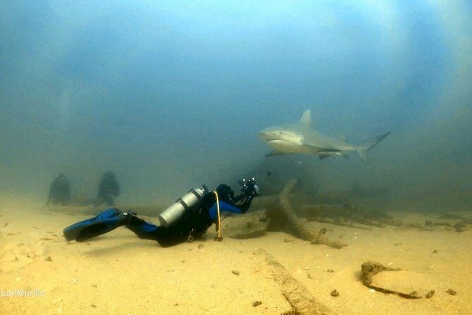 Scuba Diving adventure Cabo pulmo - Final Thoughts