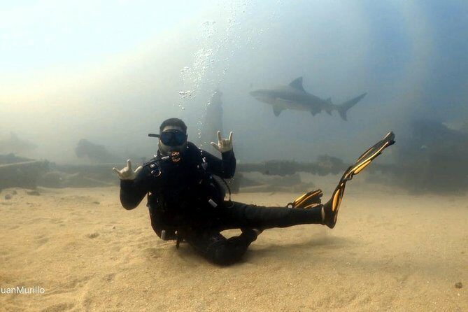 Scuba Diving adventure Cabo pulmo - FAQs