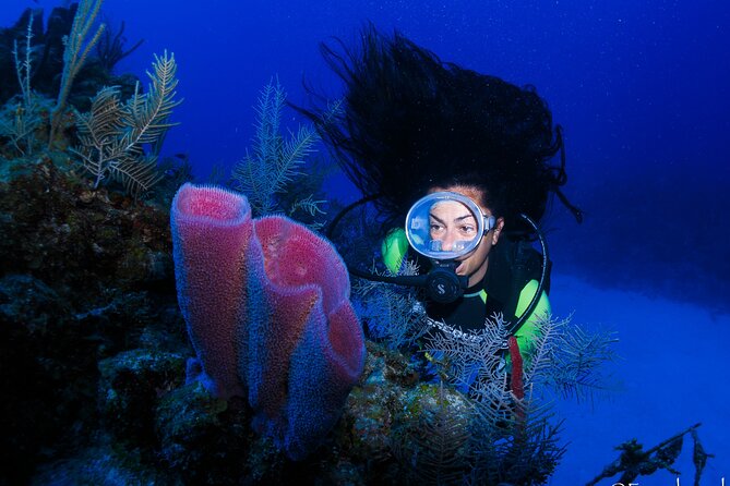 SCUBA Diving Adventure in Mahahual, SCUBA Gear Included - Meeting and Pickup Details
