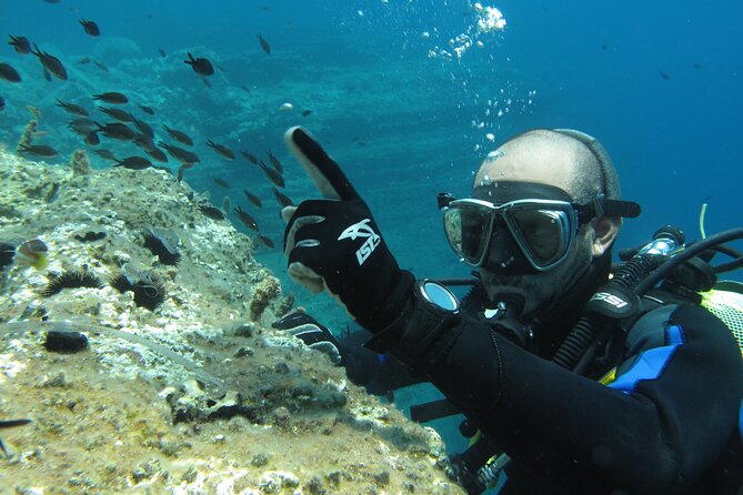 Scuba Diving Adventure in Santorini - Beginner-Friendly Scuba Diving Experience