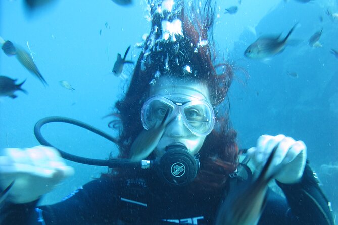 Scuba Diving Adventure in Santorini - Discovering the Calderas Underwater Wonders