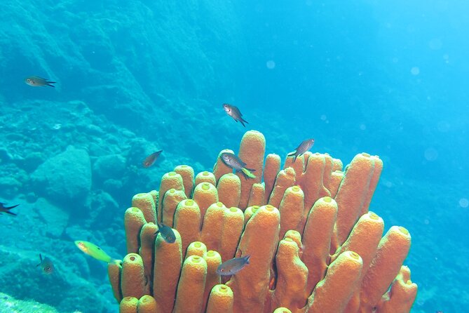 Scuba Diving Adventure in Santorini - Highlights of the Scuba Diving Tour