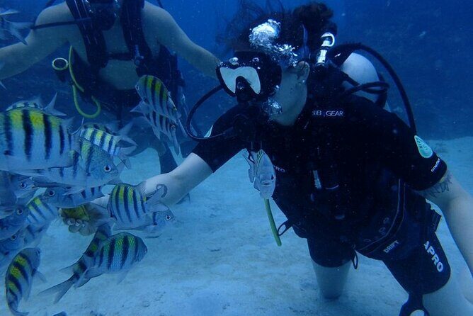 Scuba Diving and shopping on the Hipstrip. - FAQs