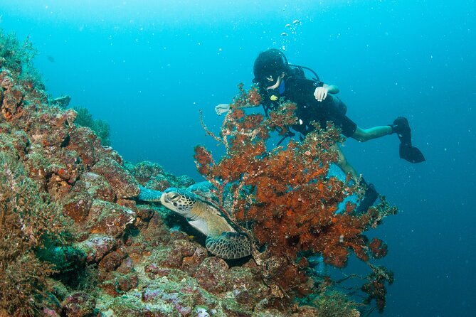 Scuba Diving Arcos or Marietas Vallarta Undersea - Meeting Location