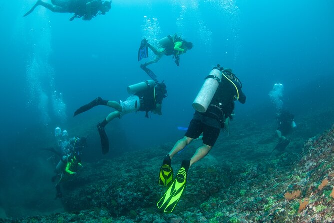 Scuba Diving Arcos or Marietas Vallarta Undersea - Customer Testimonials