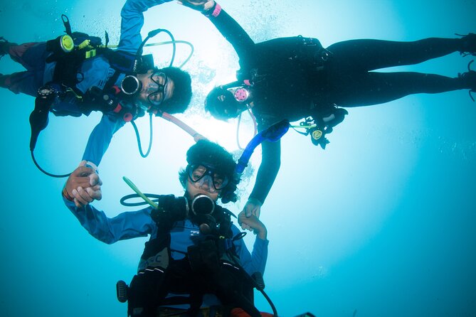 Scuba Diving Arcos or Marietas Vallarta Undersea - Booking and Availability