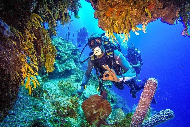Scuba Diving at Catalina Island - 2 Tank | 2 Spots - Transportation and Pickup Details