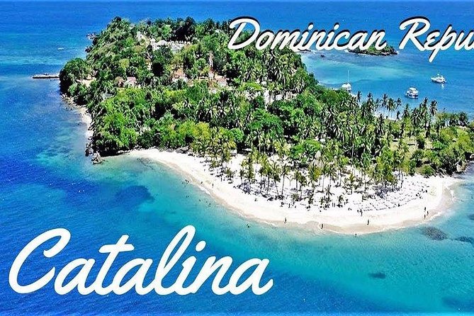 Scuba Diving at Catalina Island - 2 Tank | 2 Spots - Customer Reviews and Feedback
