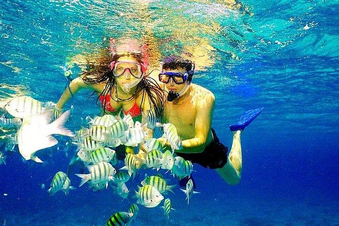 Scuba Diving at Catalina Island - 2 Tank | 2 Spots - Preparing for the Dive