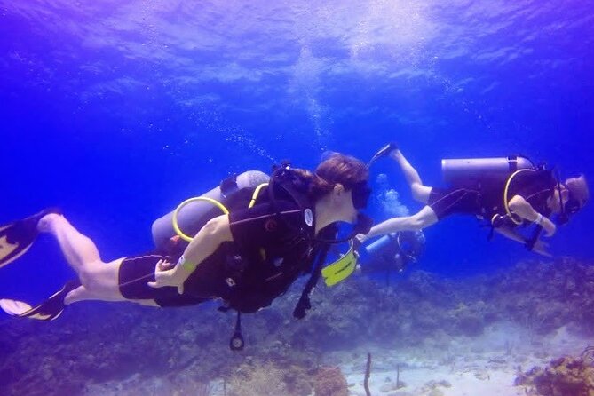 Scuba Diving at Catalina Island (2-Tank Dives - 2 Different Spots) - About Your Stay