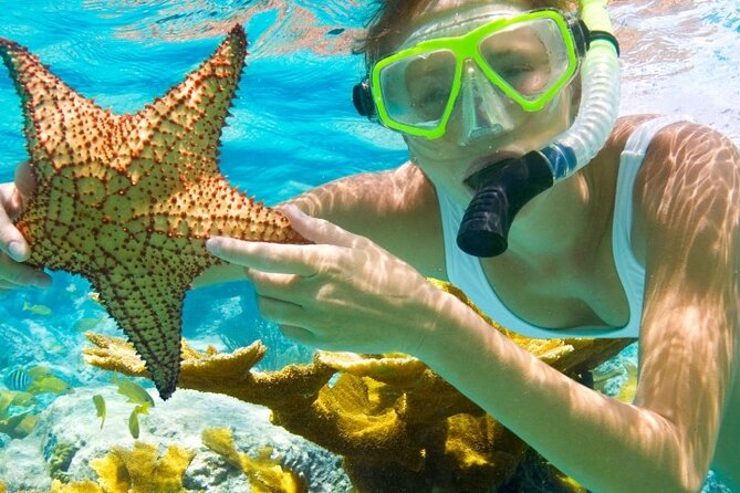 Scuba Diving at Catalina Island (2-Tank Dives - 2 Different Spots) - Meeting and Pickup Information