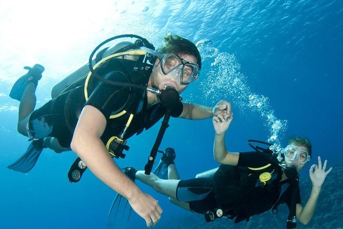 Scuba Diving at Catalina Island (2-Tank Dives - 2 Different Spots) - Tour Guidelines and Restrictions