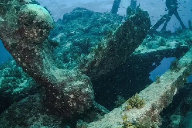 Scuba Diving at Catalina Island (2-Tank Dives - 2 Different Spots) - Exploring The Wall