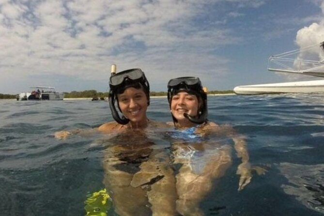 Scuba Diving at Catalina Island (2-Tank Dives - 2 Different Spots) - Booking Your Stay