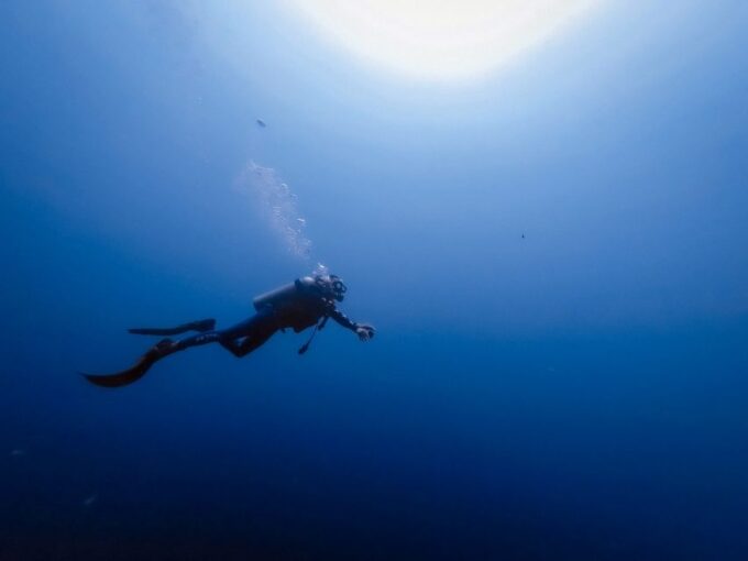 Scuba Diving at Dusk in Mirissa - Recap