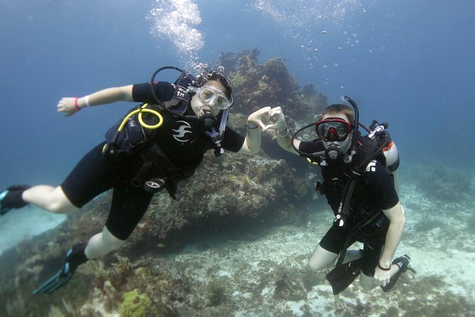 Scuba Diving at MUSA the Underwater Museum for Certified Divers - Additional Information