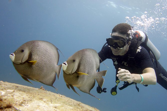 Scuba Diving at MUSA the Underwater Museum for Certified Divers - Preparing for the Dive