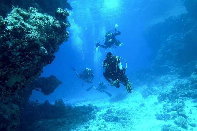 Scuba Diving at Phuket's Anemone Reef Review - Policies and Considerations