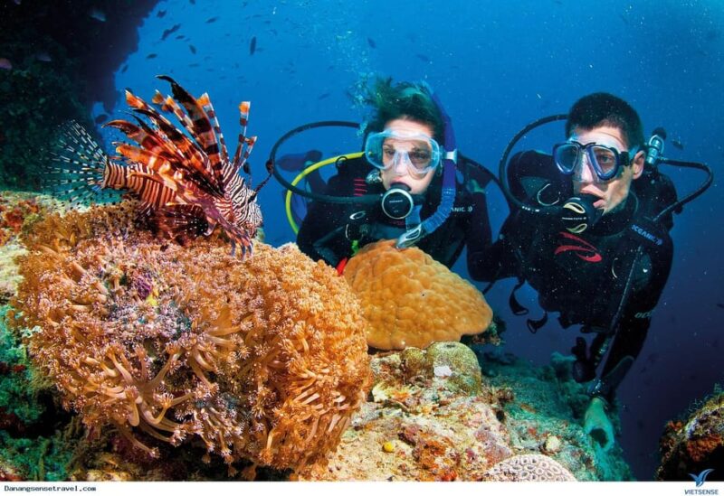 Scuba Diving at Son Tra Peninsula Tour - Participant Details