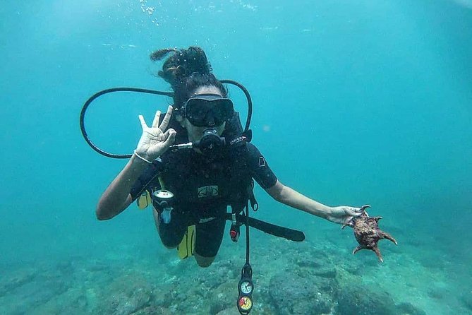 Scuba Diving at Unawatuna - Professional Instruction and Training