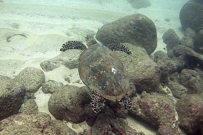 Scuba Diving at Unawatuna - Scuba Gear and Equipment