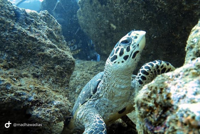 Scuba Diving at Unawatuna - Meeting and Pickup Details