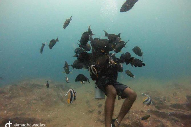 Scuba Diving at Unawatuna - Booking and Cancellation Policy
