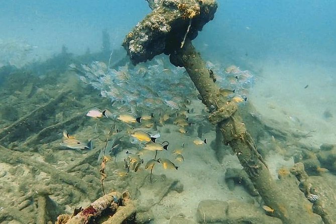 Scuba Diving at Unawatuna - Customer Feedback and Ratings