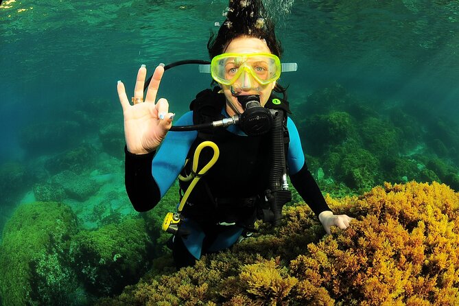 Scuba Diving Baptism and Snorkeling in Ibiza - Booking Information
