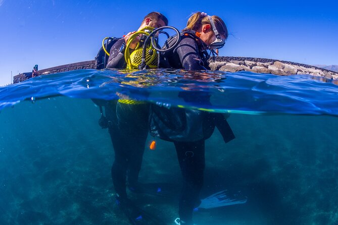 Scuba Diving Baptism Experience in Santa Cruz Tenerife - Overview of Experience