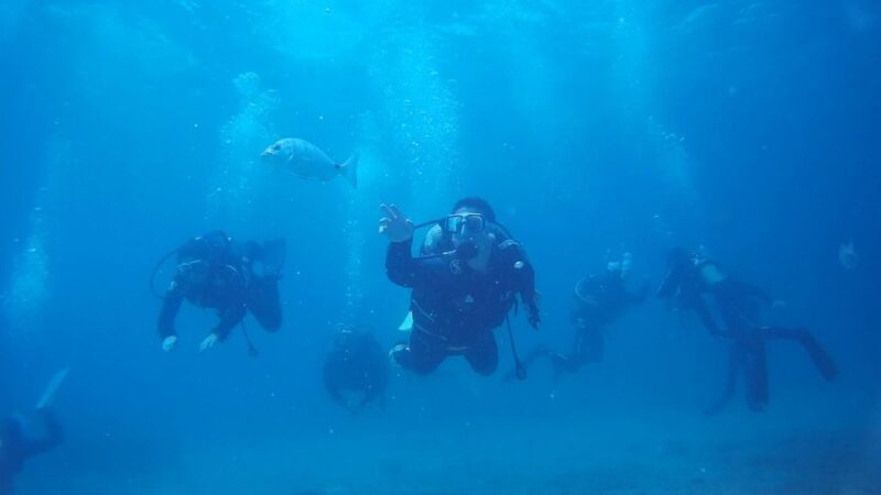 Scuba Diving Baptism in Caleta De Fuste - Key Points