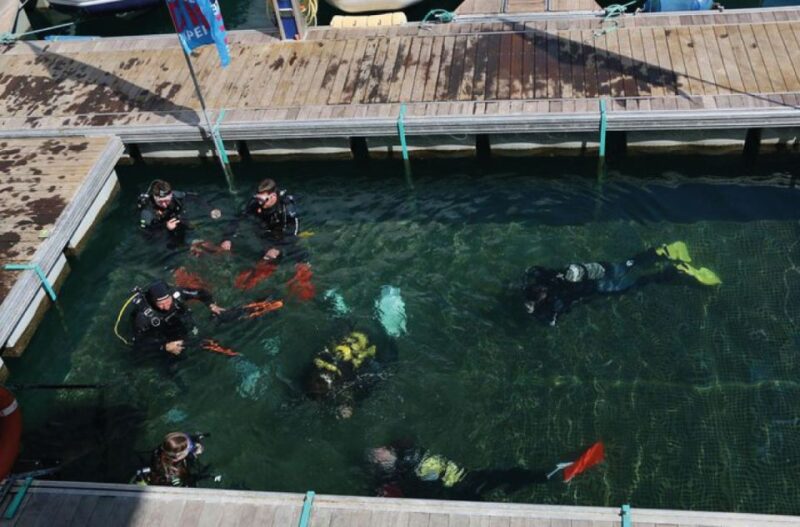 Scuba Diving Baptism in Caleta De Fuste - Meeting Point