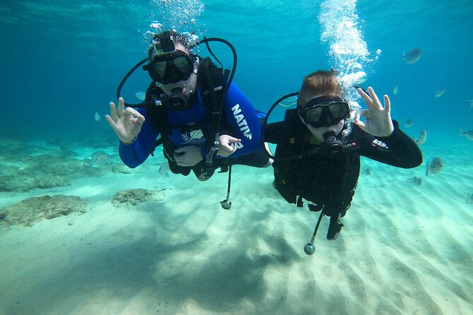 Scuba Diving (Basic Diver - 2 Dives) - Expert Instruction and Guidance