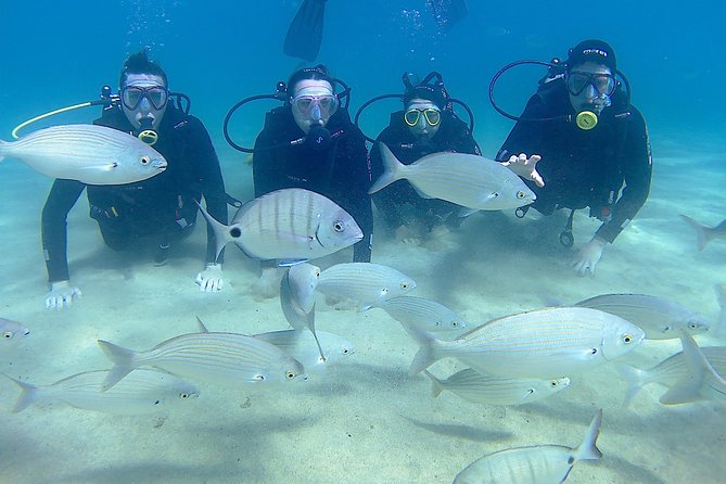 Scuba Diving (Basic Diver - 2 Dives) - Confirmation and Availability