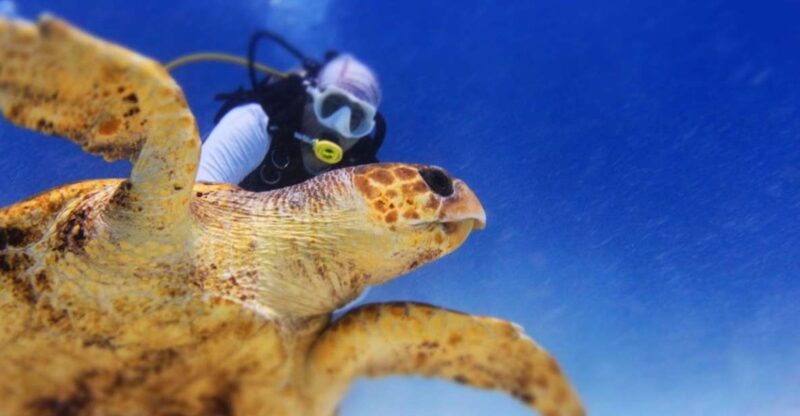 Scuba Diving Certification Course: 2 Days in Maroma Beach - Diving Experience Highlights