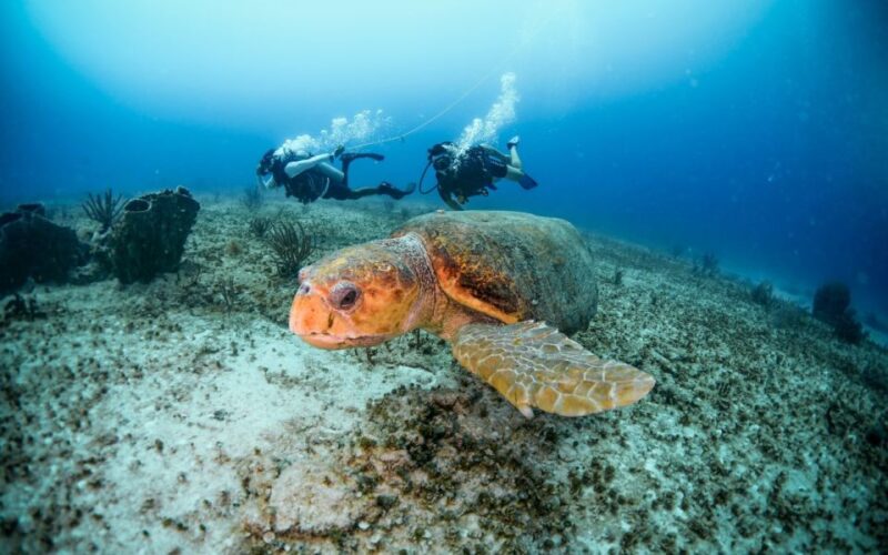Scuba Diving Certification Course: 2 Days in Maroma Beach - Participant Restrictions