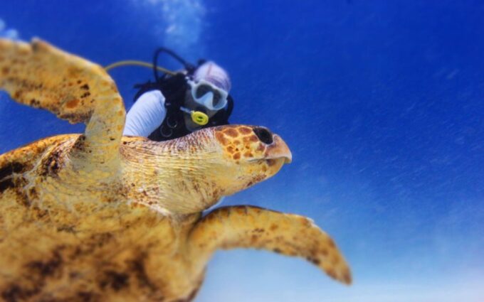 Scuba Diving Certification Course: 2 Days in Maroma Beach - Frequently Asked Questions