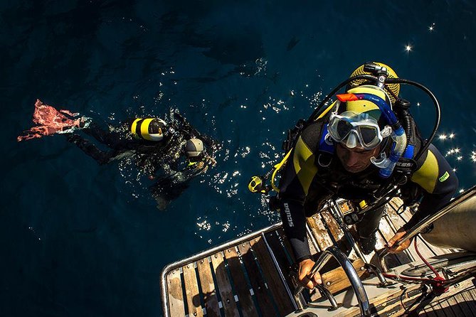 Scuba Diving Courses or Try Diving PADI or SSI - About Your Stay