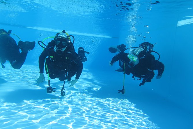 Scuba Diving Courses or Try Diving PADI or SSI - Booking and Contact