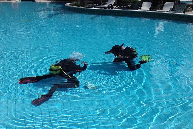 Scuba Diving Courses or Try Diving PADI or SSI - Worth The Stay