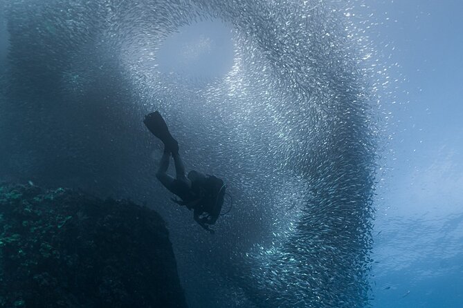 Scuba Diving - Meeting and End Points