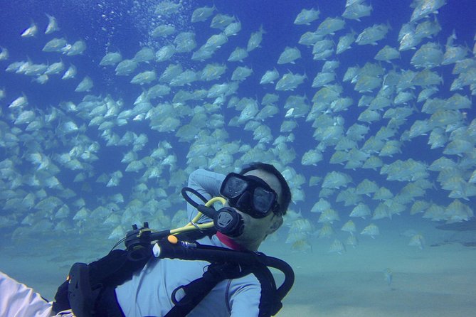 Scuba Diving - Additional Information for Participants