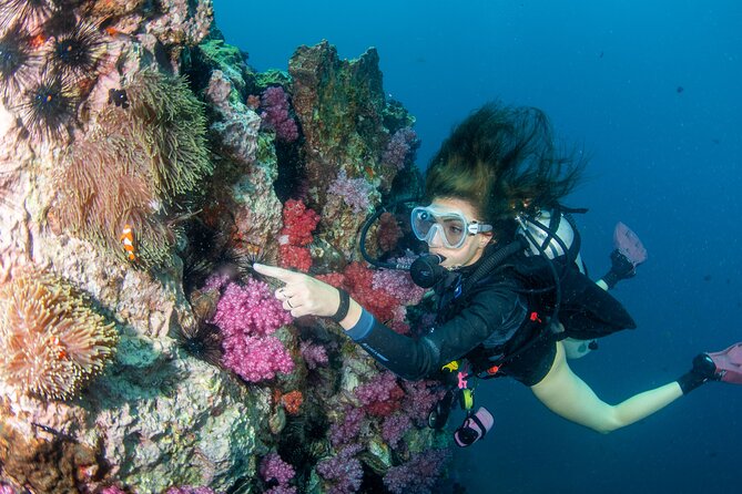 Scuba Diving Daytrip to Racha Yai - Meeting and Pickup Details
