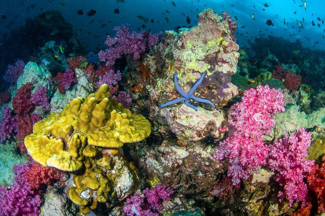 Scuba Diving Daytrip to Racha Yai - Review Highlights
