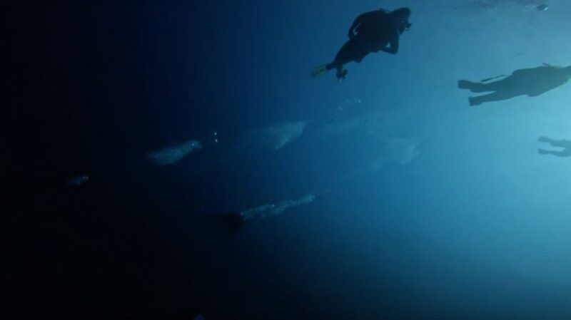 Scuba Diving - Dive for Certified Divers - Cancellation Policy