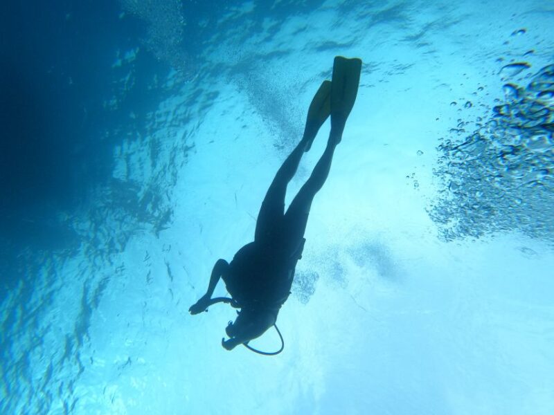 Scuba Diving Excursion in the Marine Protected Area - Highlights and Experience