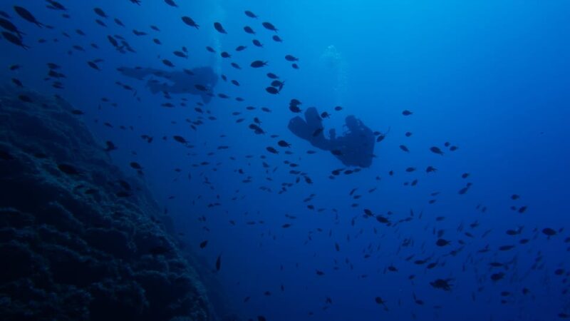 Scuba Diving Experience for Beginners In Greece - Experience Highlights
