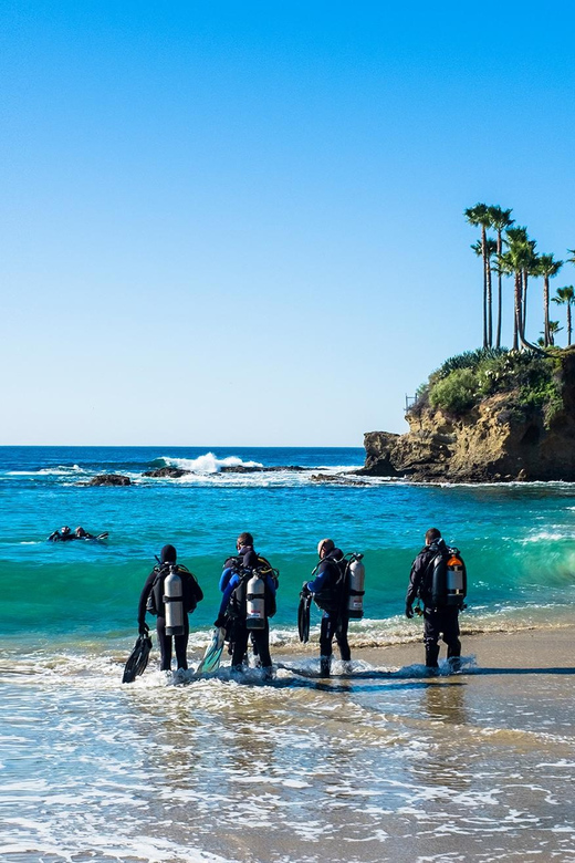 Scuba Diving Experience for Beginners In Greece - Instruction and Safety