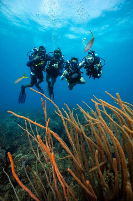 Scuba Diving Experience for Beginners In Greece - Aegean Underwater World