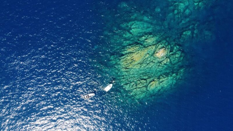 Scuba Diving Experience for Beginners - Experience Highlights